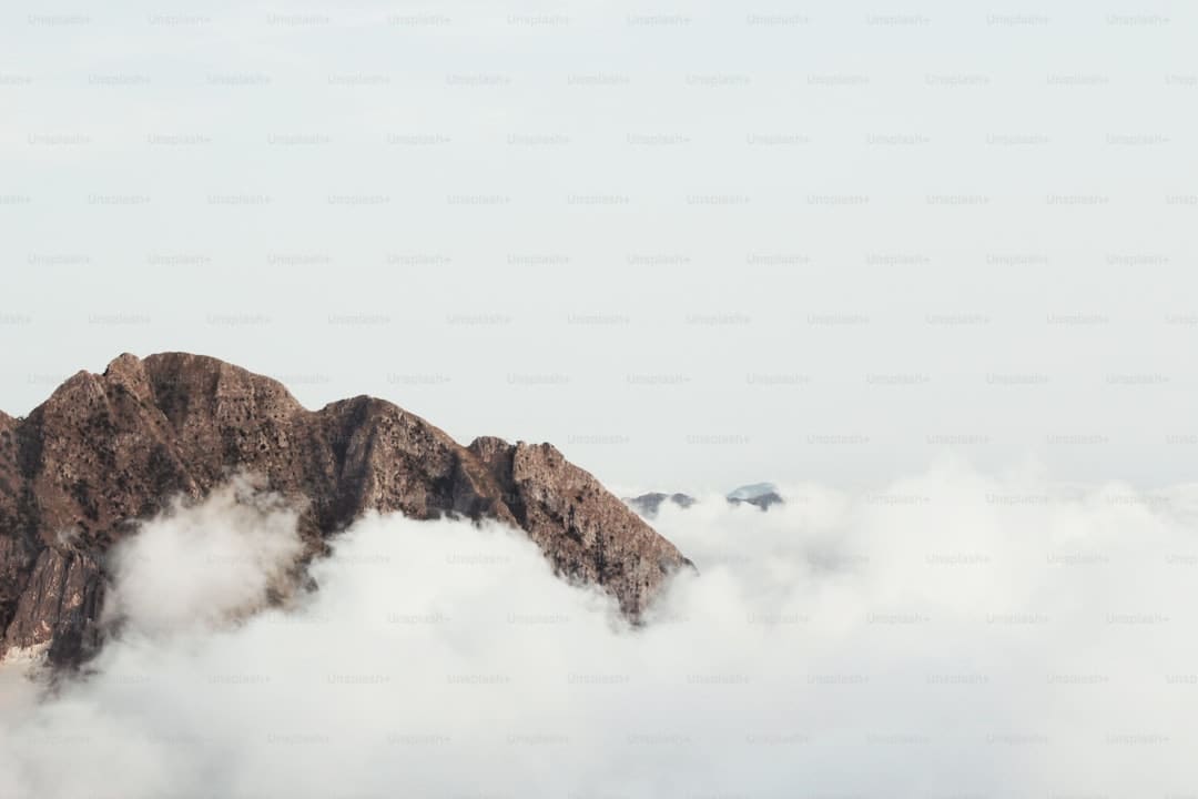 上海黄金交易所：持续做好近期商场危险操控